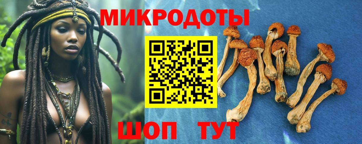 Псилоцибиновые грибы Magic Shrooms  Вход с VPN  Дмитров 